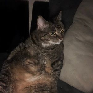 Meet your Posher, Mary